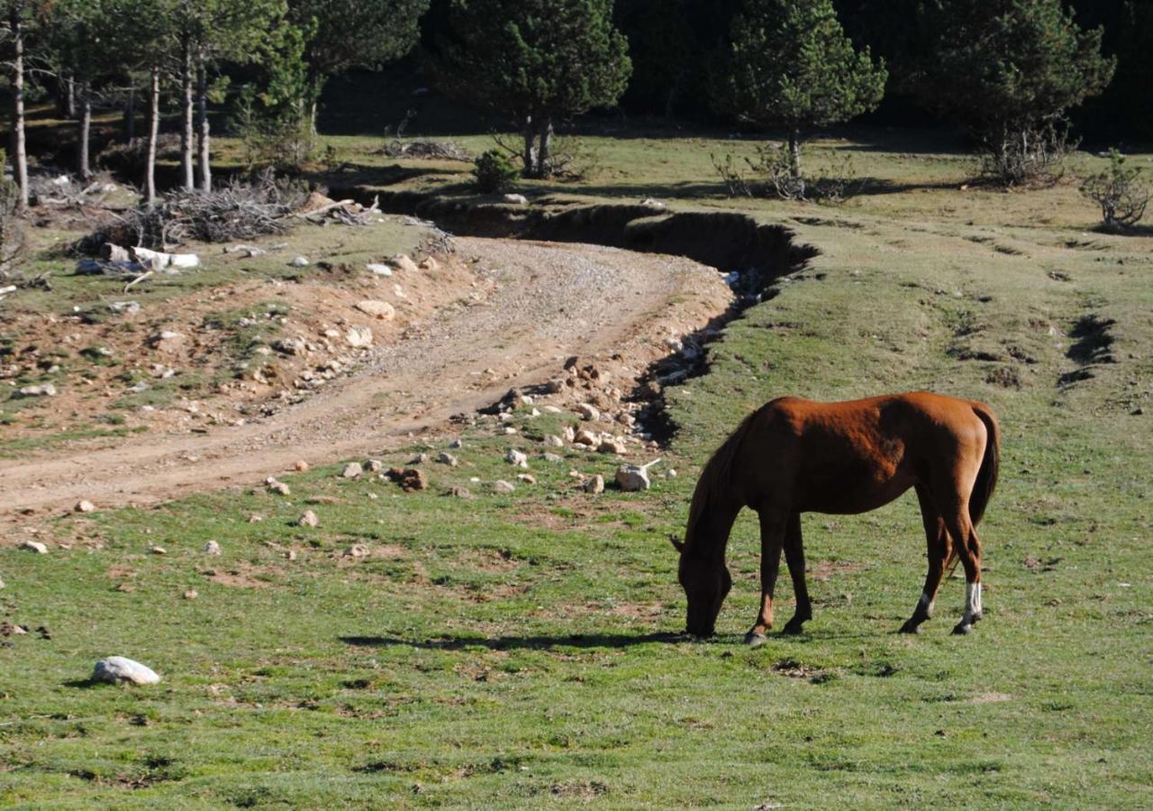 Apartamento Con Encanto En El Pirineo La Pobla de Lillet Eksteriør bilde